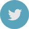 Twitter icon for link to Twitter